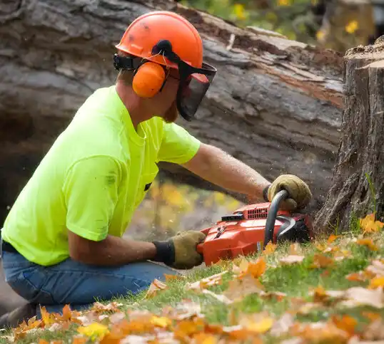 tree services Poland